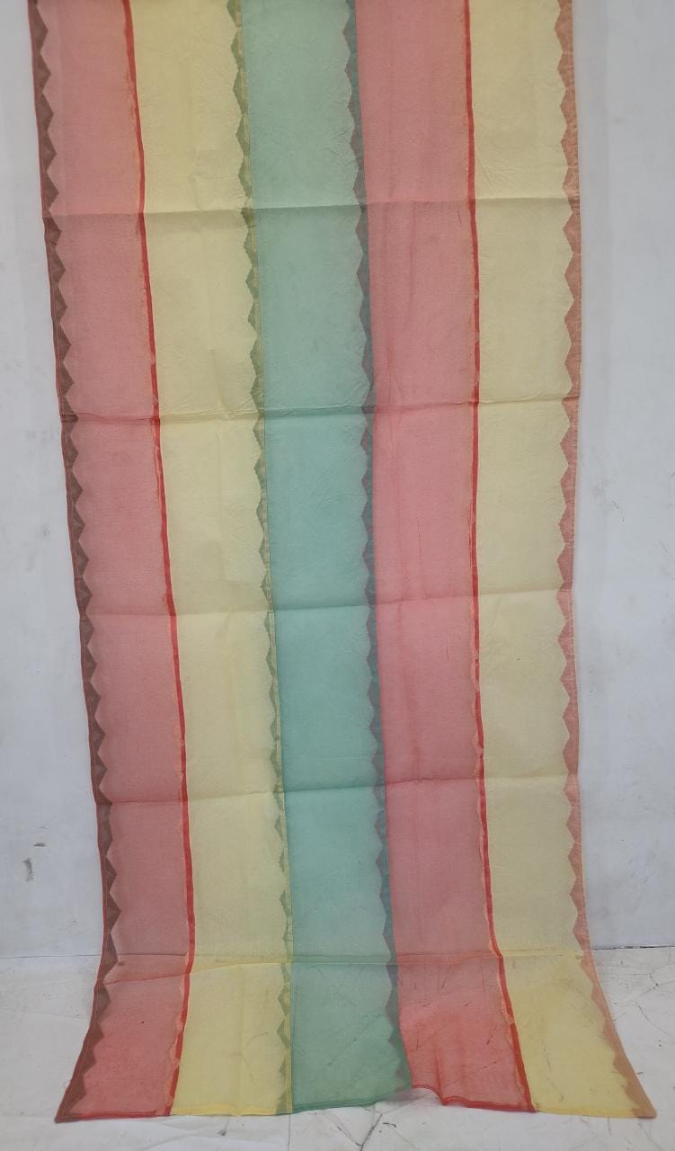 Pure Organdy Cotton Multi-color Applique Work Dupatta