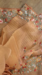 Pure Organza Silk  floral Embroidery Saree with velvet lace and heavy blouse