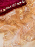 Pure Organza Gota Patti Handwork Saree With Contrast Blouse