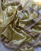 Banarasi Tissue Silk Saree with Broad Shiny lace Work