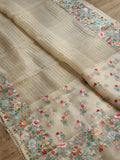 Pure Organza Silk  floral Embroidery Saree with velvet lace and heavy blouse