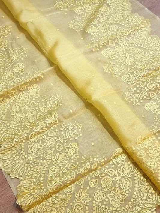 Pure organza silk embroidery  work  saree with heavy blouse