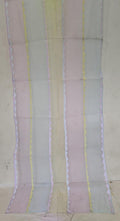 Pure Organdy Cotton Multi-color Applique Work Dupatta