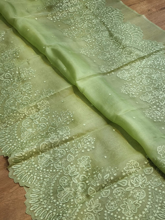 Pure organza silk embroidery  work  saree with heavy blouse