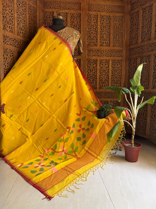 Pure Cotton needle work jamdani Saree