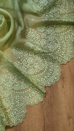Pure organza silk embroidery  work  saree with heavy blouse