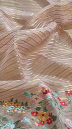 Pure Organza Silk  floral Embroidery Saree with velvet lace and heavy blouse