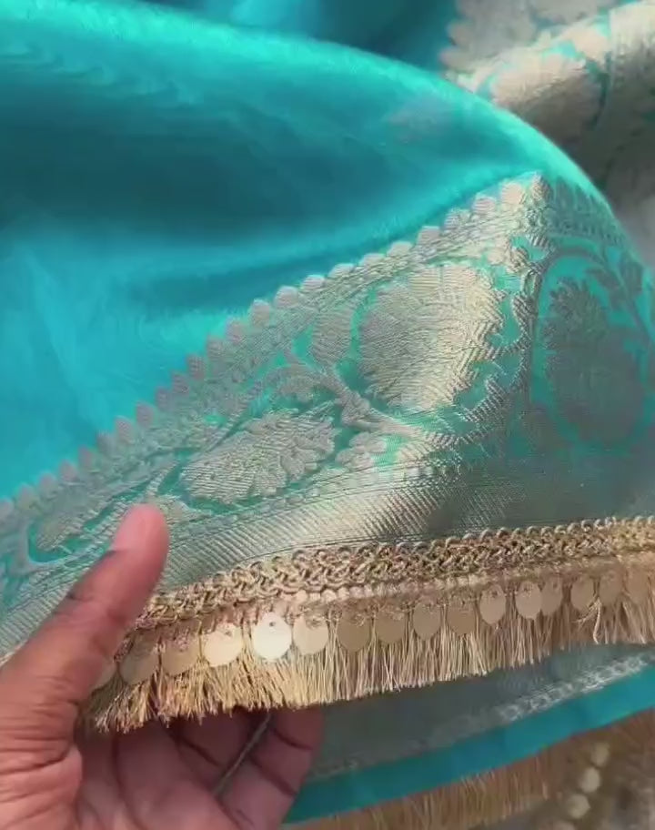 Banarasi Tissue Silk Saree With lace work border
