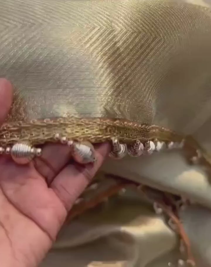 Tissue silk saree with  lace work