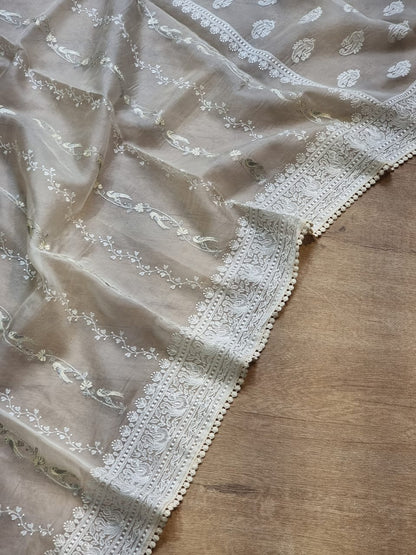 Pure Organza Silk Saree With Chikankari Hand-Work and Crochet lace