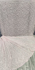 Pure Chiffon Georgette tepchi Jaal work sarees with finest quality intricate chikankari hand embroidery tepchi work